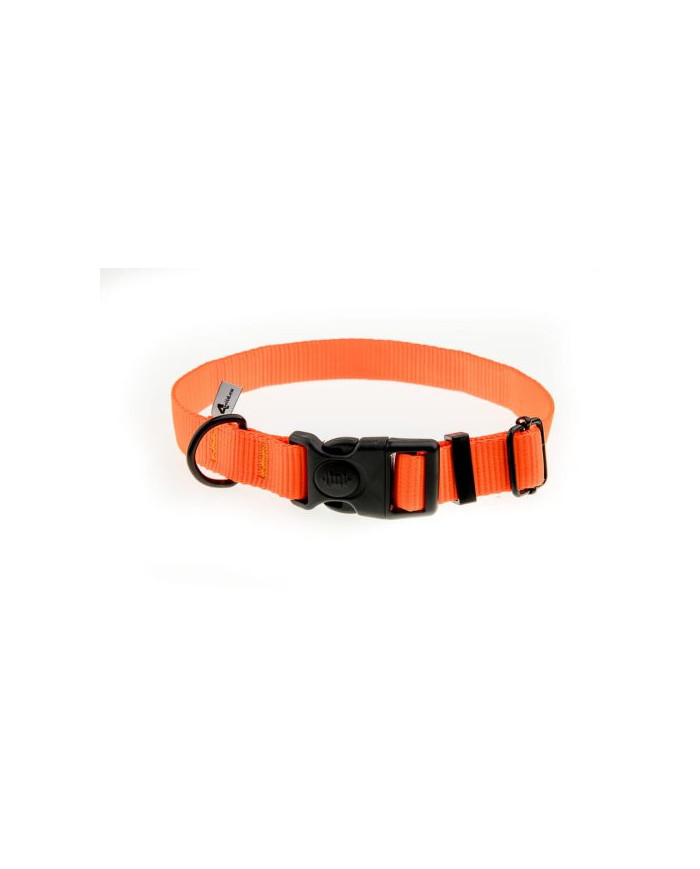 OBROŻA 4WILD Z TAŚMY 25MM NEONOWA POMARAŃCZA 37-57CM