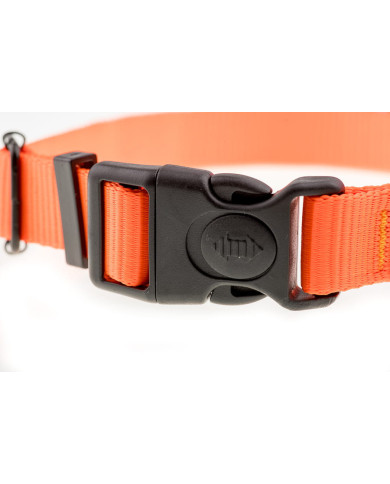 OBROŻA 4WILD Z TAŚMY 40MM NEONOWA POMARAŃCZA 39-61CM
